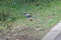 IMG_3216