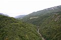 IMG_3396