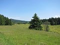 IMG_1731