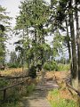 IMG_3308