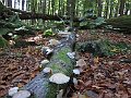 IMG_3383