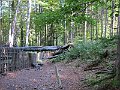 IMG_3397