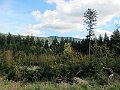 IMG_3417