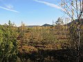 IMG_3454