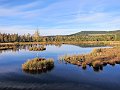 IMG_3455