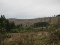 IMG_3539