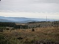 IMG_3542