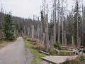 IMG_3545