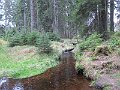 IMG_3557