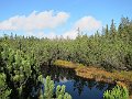 IMG_3577