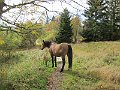 IMG_3604