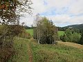 IMG_3607