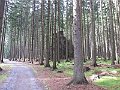 IMG_2380