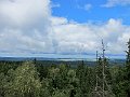 IMG_2390