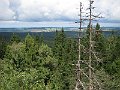 IMG_2394