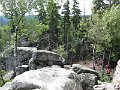IMG_2398