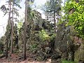 IMG_2415