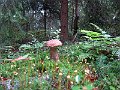 IMG_2429