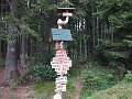 IMG_2449