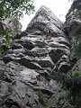 IMG_2461