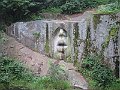 IMG_2500