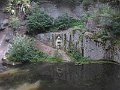 IMG_2502
