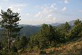IMG_3620