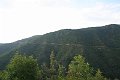 IMG_3636