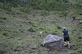 IMG_3699
