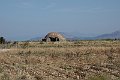DSC00287