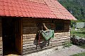 DSC00406