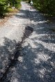 DSC00502