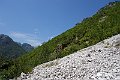 DSC00559