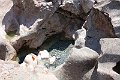 DSC00591