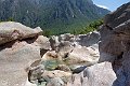 DSC00598