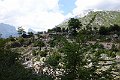 DSC00635