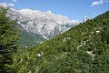DSC00662