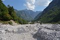 DSC00731
