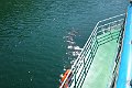 DSC00840
