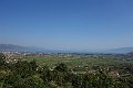 DSC00952