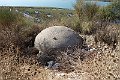 DSC01035