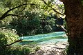 DSC01137