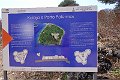 DSC01161