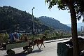 DSC01296