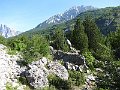 IMG_0116