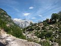 IMG_0130