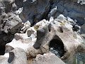 IMG_0165