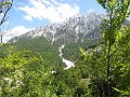 IMG_0196