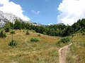 IMG_0211