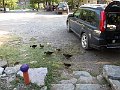 IMG_0244